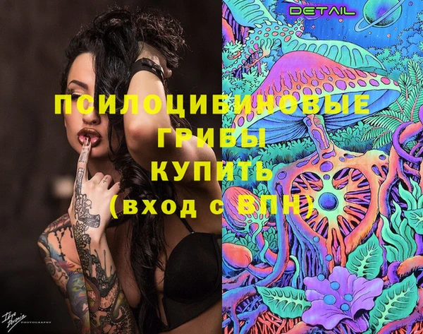 сатива Абинск