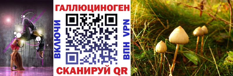 где купить наркотик  Разумное  omg tor  Псилоцибиновые грибы Magic Shrooms 